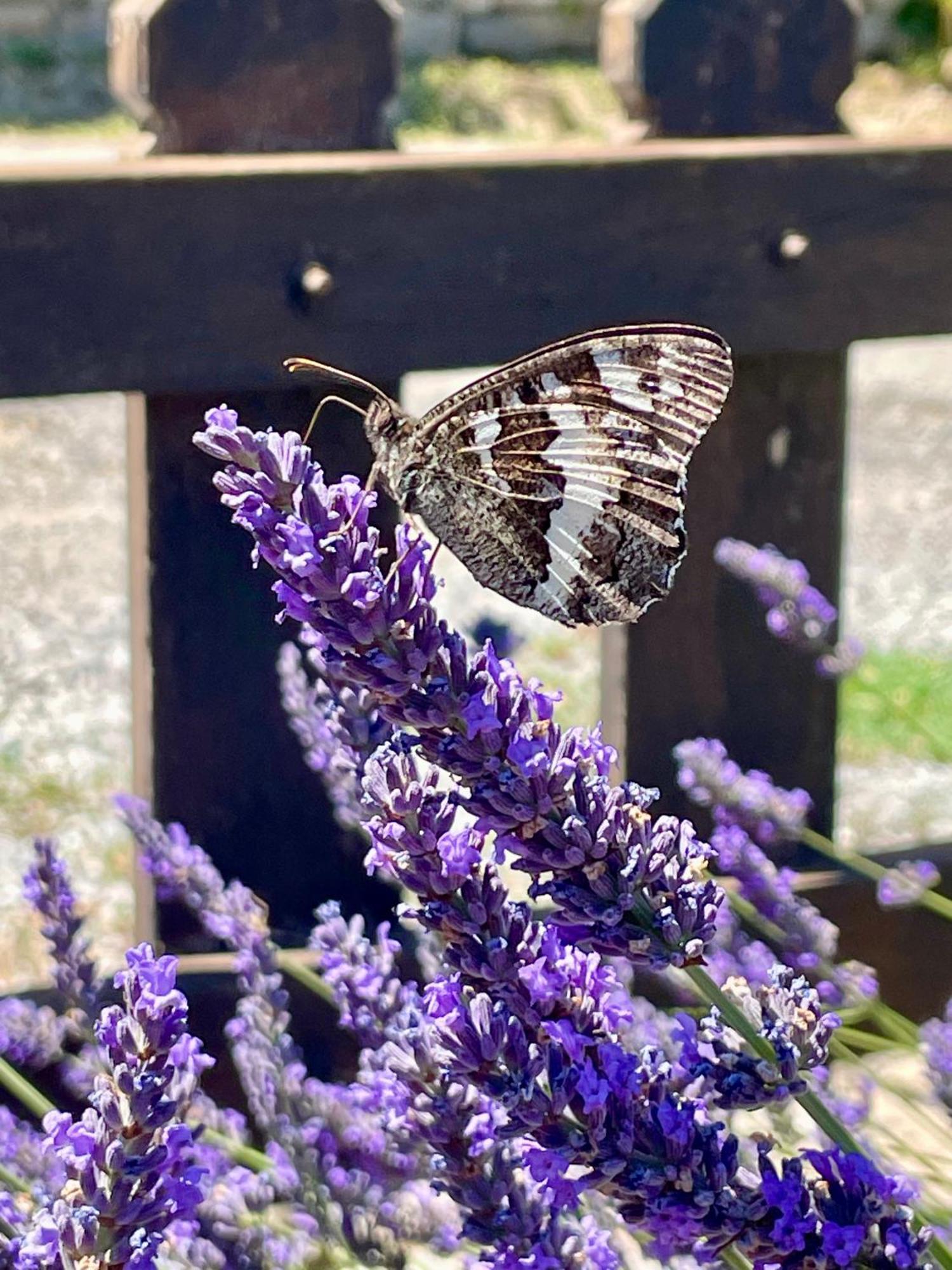 Gite L'Inattendu Vacheres Bagian luar foto
